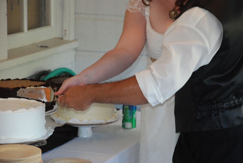 2009_10_24 Amy & Ray's Wedding_44 - Cake Cutting.JPG