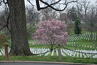 0803_DC_Trip_459 Arlington Cemetery.jpg