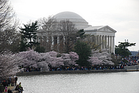 0803_DC_Trip_616 DC - Jefferson Memorial & Cherry Blossoms.jpg