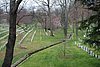 426 Arlington Cemetery.jpg