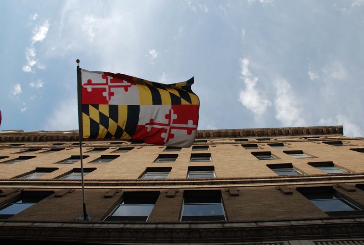 493 DC - Maryland Flag.jpg