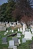 652 DC - Congressional Cemetery.jpg